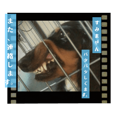 犬と家族と私2