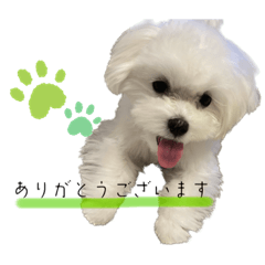 mashuuuu_20220923112900