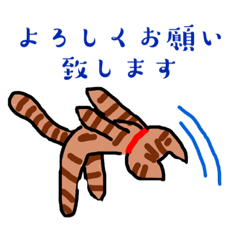Chiyo_20220923121220