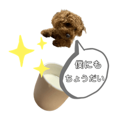 arisa_20220923133130