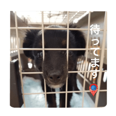 hana_20220923140540