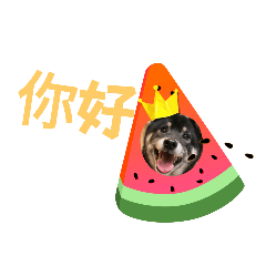 岡山家政班劉偌凡