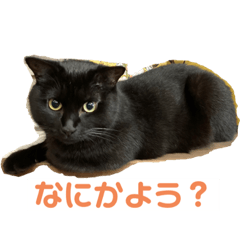 Yuuko_20220923153343