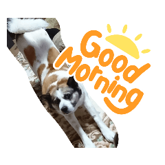 NATSUMI_20220923165603