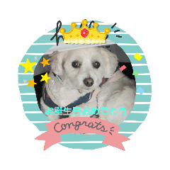jack_20220923171824