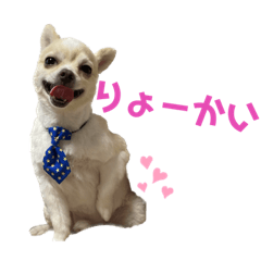 Nozomi_20220924015651