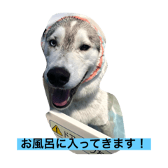 Luke ikeinu_20220923200533