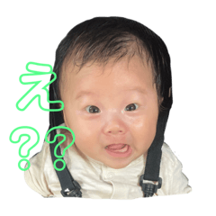 Toki stp