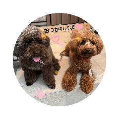 kotata_20220923183956