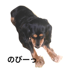 kong_20220923223901