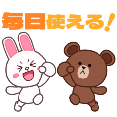 Simple,can be used every day!brown&cony