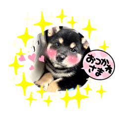 YUN_20220923184936