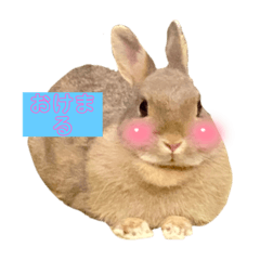 ペットスタンプ♥️