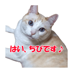 jack_20220923203830