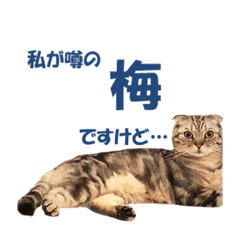 jack_20220923204505