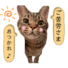 miko_20220923204300