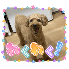 NATSUMI_20220923193649