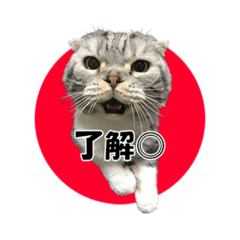 jack_20220923211608
