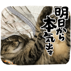 megumi_20220923221010