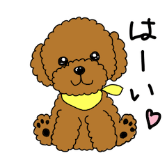 lovely toy poodle stickers