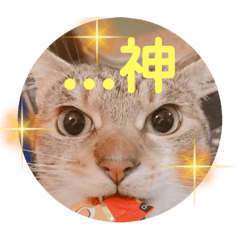 Rina_20220924132242