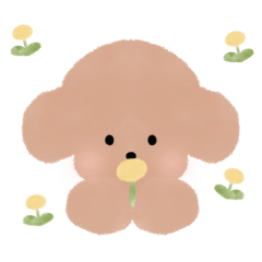 mofu mofu toypoodle