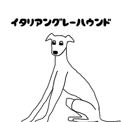 Italian greyhound Sticker AAA