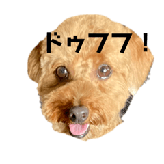 Miko_20220924151456