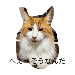 MISA_20220924154935