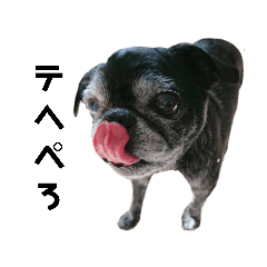kero_Frank