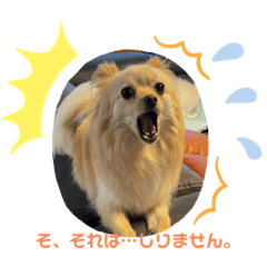 Dogs lover_20220924202148