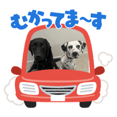 seira_20220924163013