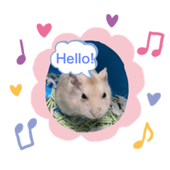 餃子大王的各種姿態