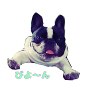 U.fuwari_20220924144347