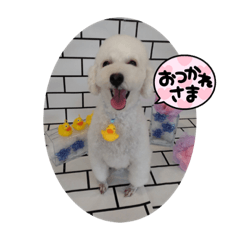 MISA_20220924174914