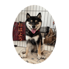 Hana_20220924184456