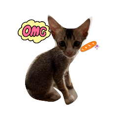 cream_20220924171258