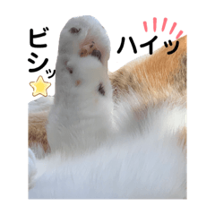 ウニとお友達