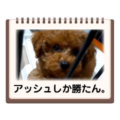 ryuki_20220924203752