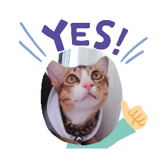 cream_20220924154916