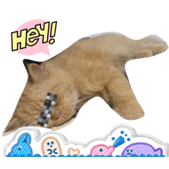 Toonnattapon_20220924225946