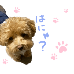 Hana_20220924225622