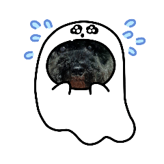 阿烏