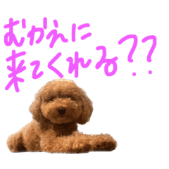hana_20220925113621