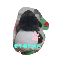 阿烏的日常