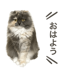 rinrin_20220924224623
