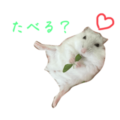 Suzu_20220925114853