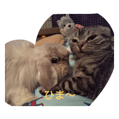 sayuri_20220925055406