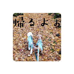 KOSUKE_20220926085447