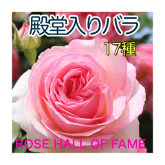 rosepottokyo_20220924234407